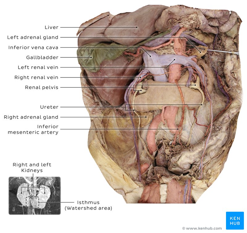 Robotic surgery